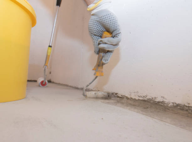 Best Fumigation Services  in Rancho San Diego, CA